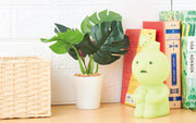 Item Details: SMISKI Touch Light C0