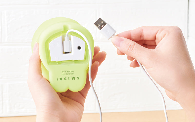 Item Details: SMISKI Touch Light C0